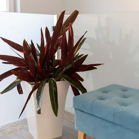 Taiao וילה ואלנסה